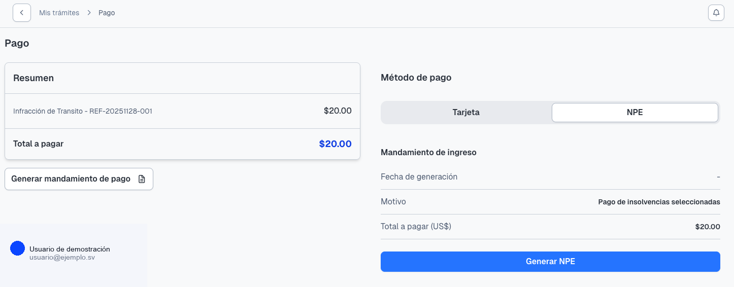 Pantalla de pago de infracción mediante NPE
